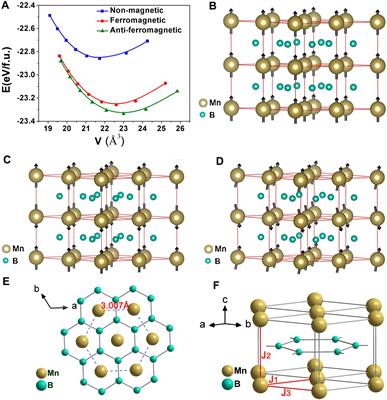 Investigating the exotic magnetic properties in manganese diboride, a borophene intercalation compound